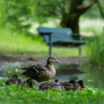 国产超级av 在线 1ae63bd7