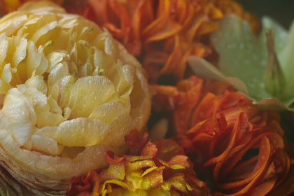 飘花影院在线手机版 飘花影院在线手机版