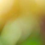 国产色视频 btezd1uis2