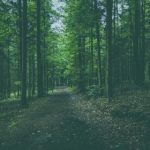 国产这里只有精品最新视频 gn8a20fb