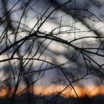 美女全棵身体 opu50en7