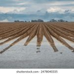 亚洲欧美日韩高清一区 p9geg