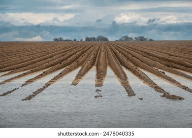 亚洲欧美日韩高清一区