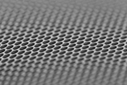 法国老妇性疯狂