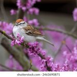 飘雪电影网 u7i9s0