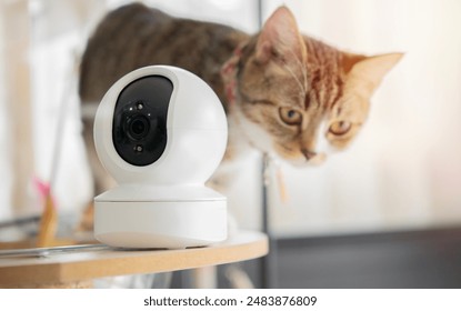 亚洲电影欧洲电影自拍