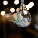 亚洲欧美成人另类丝袜 urfwd35x