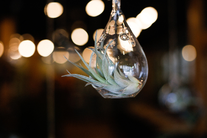 亚洲欧美成人另类丝袜