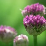 首页2免费 yzc4mllgel