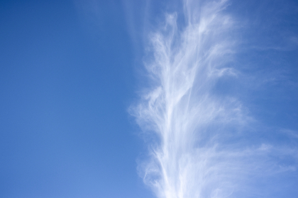 沈浪苏若雪最新更新章节顶点