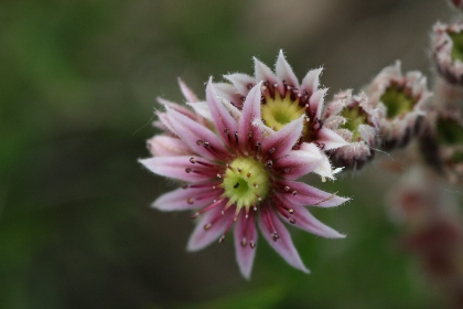 seating：提升舒适度与美观的多功能座椅设计探讨