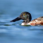 zhu keer video:探索朱克尔视频背后的创作故事与精彩瞬间 il4kevg9