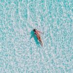 亲爱的母亲ID:传递爱的温暖与无尽的思念 pzr1bcteao